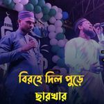 Birohea Dil Purea Charker