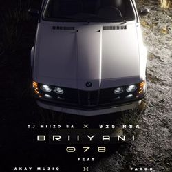 Briyani 078 (feat. Djy Miizo SA, Akay MuziQ &amp; Fargo)