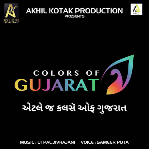 Colors Of Gujarat