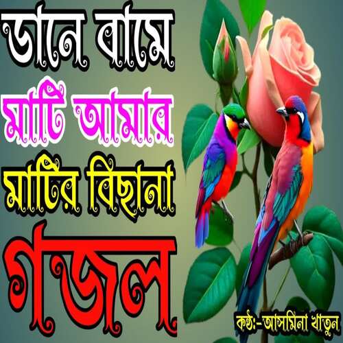 Daine Bame Mati Amar Matir Bichana