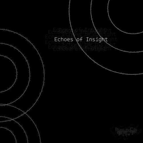Echoes of Insight cover art