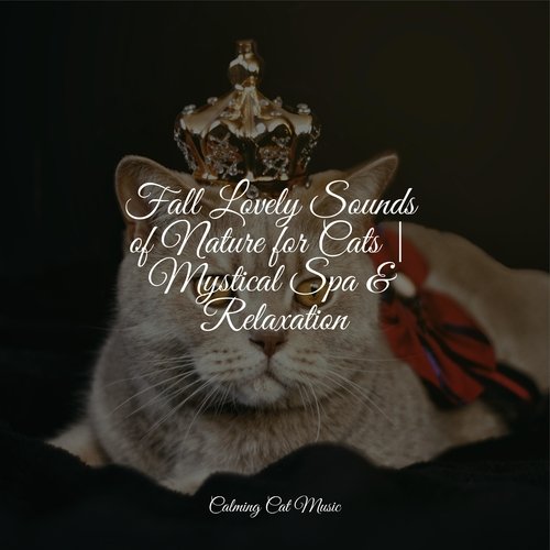Lazy Morning cover art