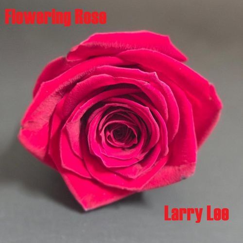 Flowering Rose