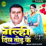 Gelhi Dil Tod Ke