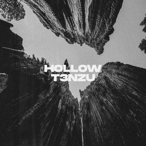 Hollow