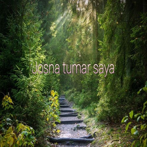 Josna tumar saya