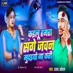 Kailu hamara sanghe jawan mudaiyo na kari