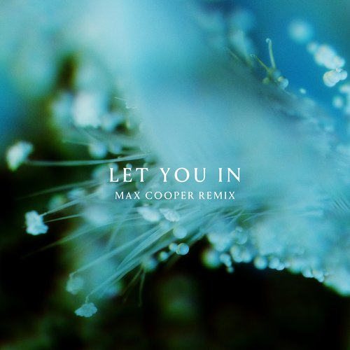 Let You In (Max Cooper Remix)_poster_image