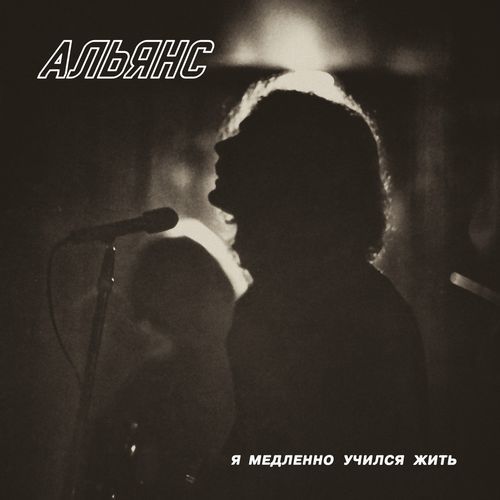 Мы - пешеходы