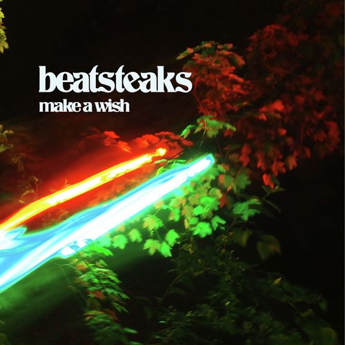 Make a Wish