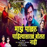 Maz Pakharu Pahilyasarkh Bolat Nahi