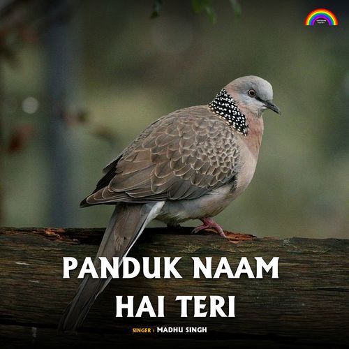 Panduk Naam Hai Teri