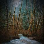 Peaceful Water Creek Sounds for Instant Relaxation and Stress Relief