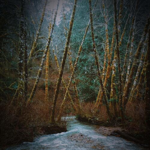 Peaceful Water Creek Sounds for Instant Relaxation and Stress Relief_poster_image