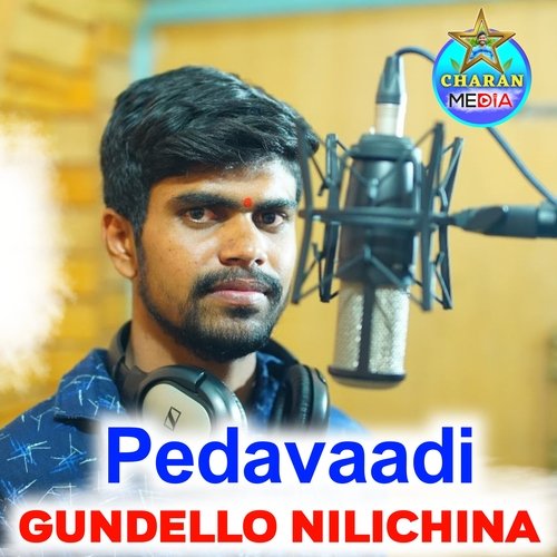 Pedavaadi Gundello Nilichina