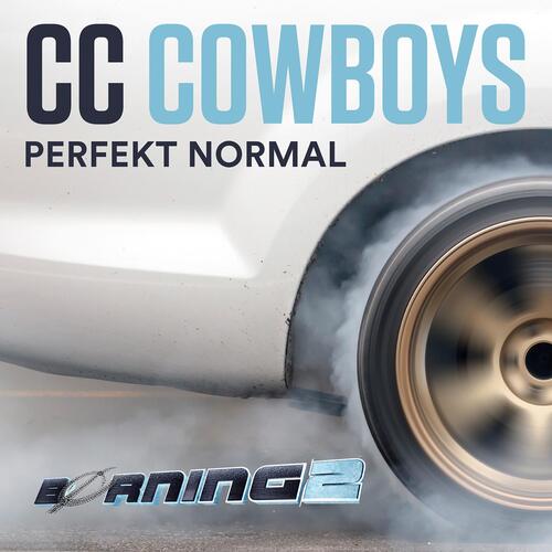 Perfekt normal