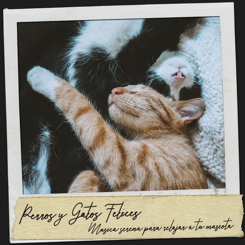 Música para Dormir cover art