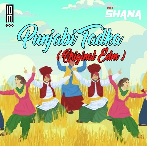 Punjabi Tadka (Original EDM)