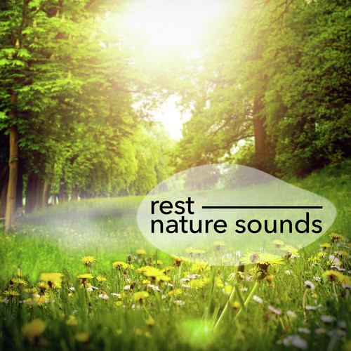 Rest: Nature Sounds