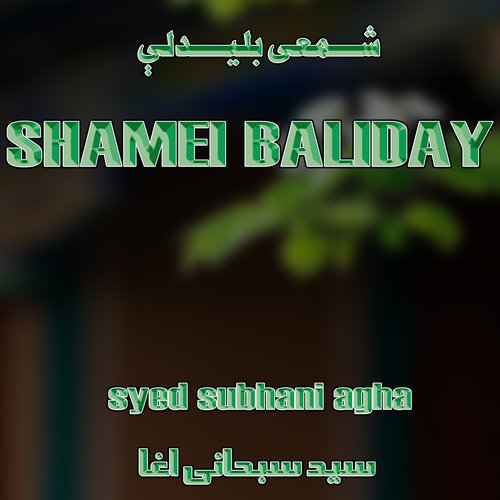 Shamei Balidy