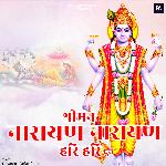 Shreeman Narayan Narayan Hari Hari - Dhun