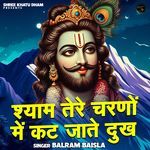 Shyam Tere Charnon Me Kat Jate Dukh