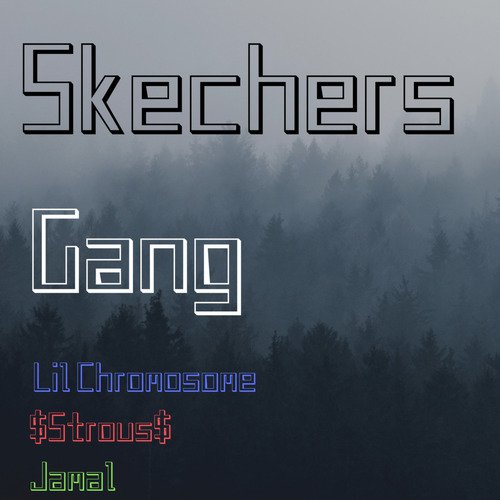 Skechers Gang_poster_image