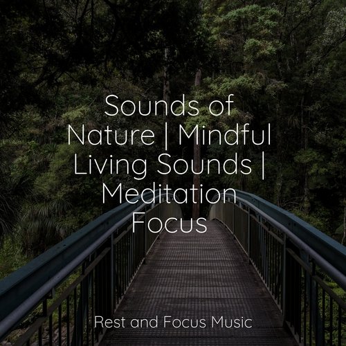 Sounds of Nature | Mindful Living Sounds | Meditation Focus