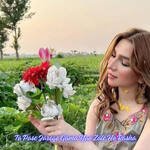 Ta Pase Jarege Gama Yao Zale Ho Rasha