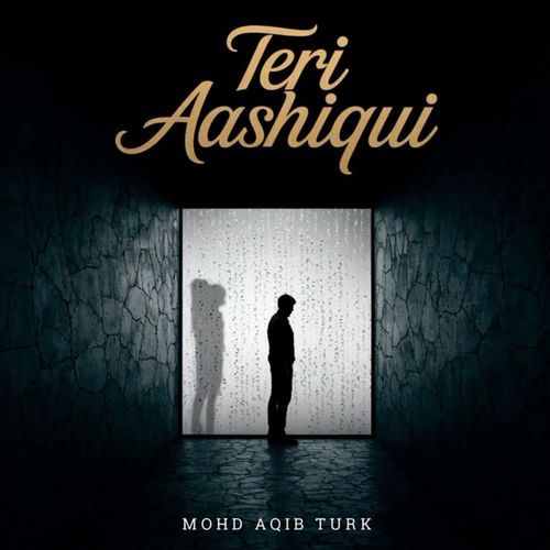 Teri Aashiqui