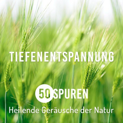 Tiefenentspannung - 50 Spuren Heilende Geräusche der Natur mit Entspannungsmusik für Meditation, Spa, Yoga und Massage