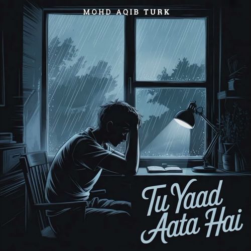 Tu Yaad Aata Hai