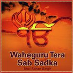 Waheguru Tera Sab Sadka