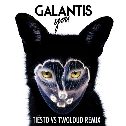 You (Tiësto vs. Twoloud Radio Edit)_poster_image