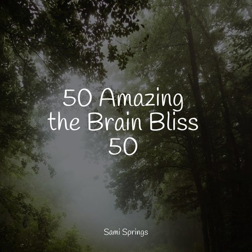 50 Amazing the Brain Bliss 50_poster_image