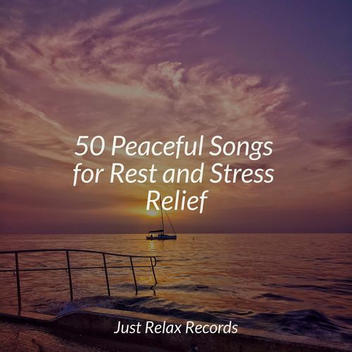 50 Peaceful Songs for Rest and Stress Relief