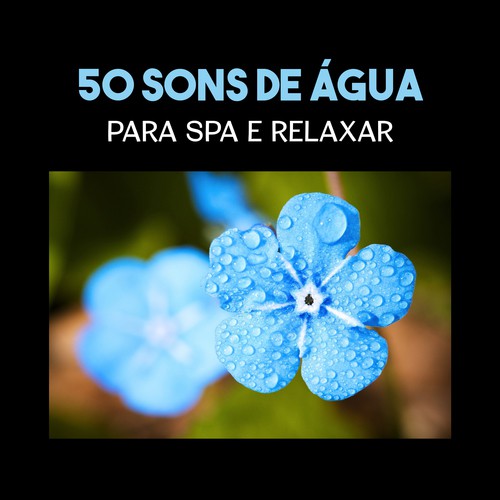 Na Sala de Spa cover art