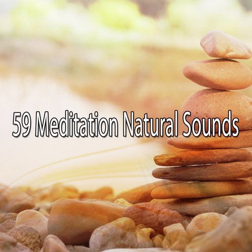 59 Meditation Natural Sounds