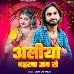 Aliyo Baharba Jab Se