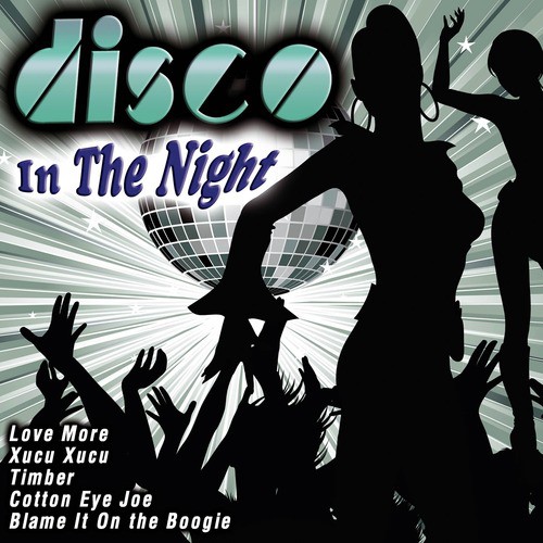 Disco in the Night