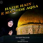 HAZIR HAIN E MASJIDE AQSA