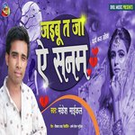 Jaibu Ta Ja E Sanam