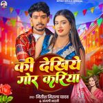 Ki Dekhiye Gor Kariya