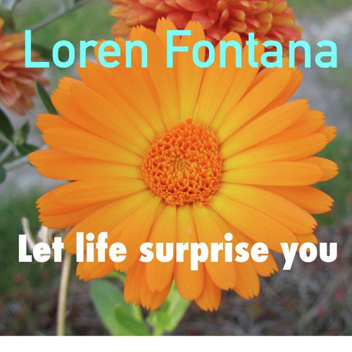 Let Life Surprise You_poster_image