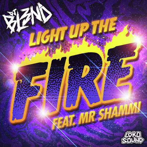 Light Up The Fire (feat. Mr. Shammi)_poster_image