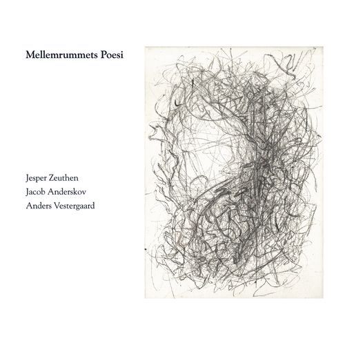 Mellemrummets Poesi