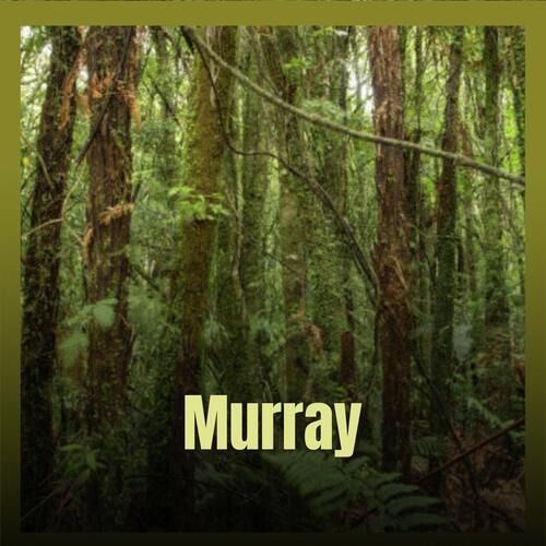Murray cover art