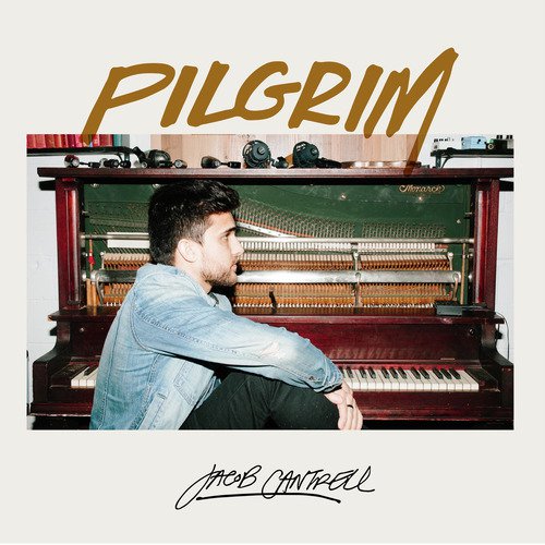 Pilgrim (Acoustic) [Live]_poster_image