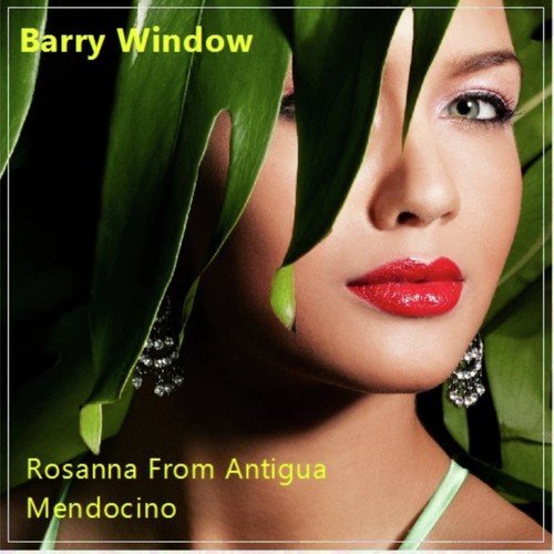 Barry Window