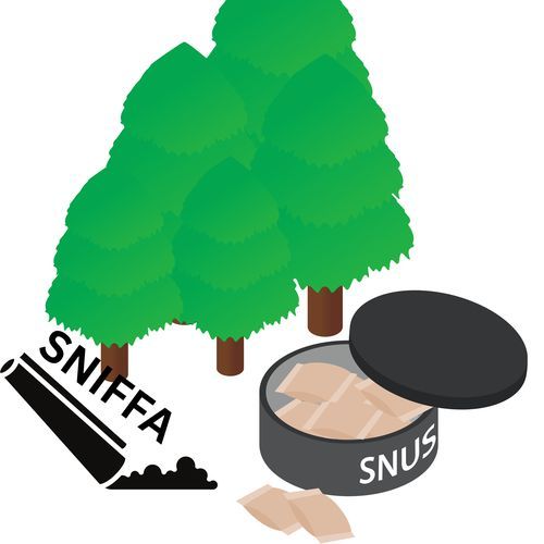 SNIFFA SNUS cover art